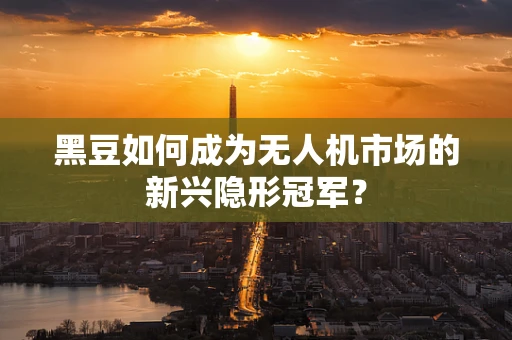 黑豆如何成为无人机市场的新兴隐形冠军？