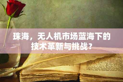珠海，无人机市场蓝海下的技术革新与挑战？