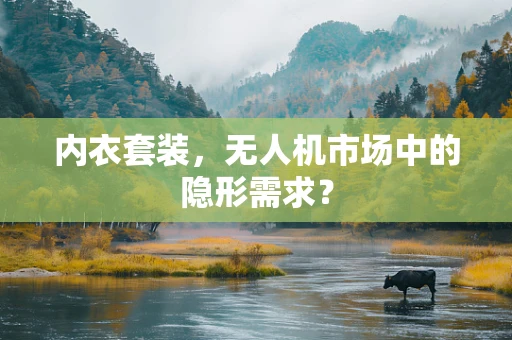 内衣套装，无人机市场中的隐形需求？