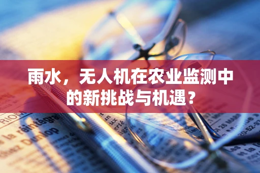 雨水，无人机在农业监测中的新挑战与机遇？