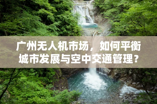 广州无人机市场，如何平衡城市发展与空中交通管理？