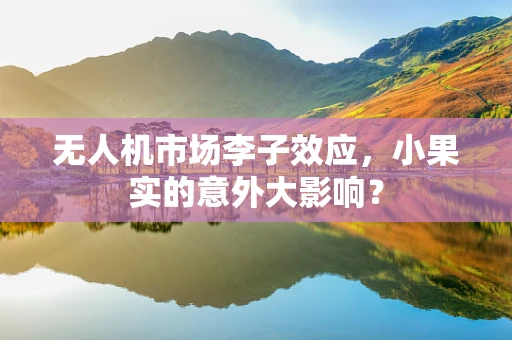 无人机市场李子效应，小果实的意外大影响？