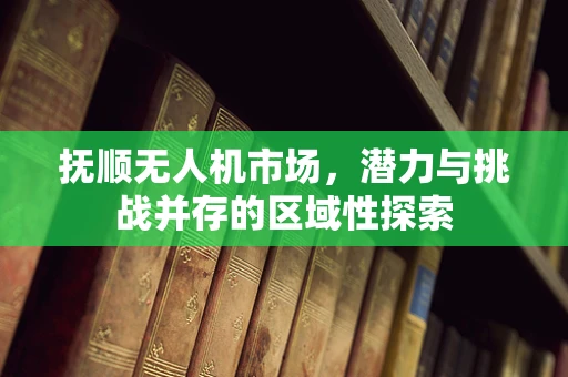 抚顺无人机市场，潜力与挑战并存的区域性探索