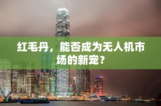 红毛丹，能否成为无人机市场的新宠？