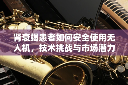 肾衰竭患者如何安全使用无人机，技术挑战与市场潜力