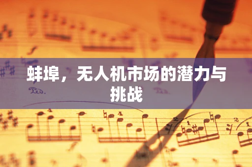 蚌埠，无人机市场的潜力与挑战