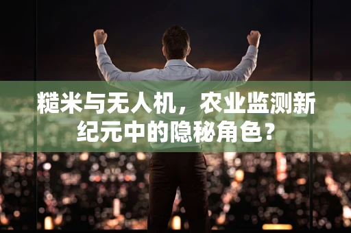 糙米与无人机，农业监测新纪元中的隐秘角色？