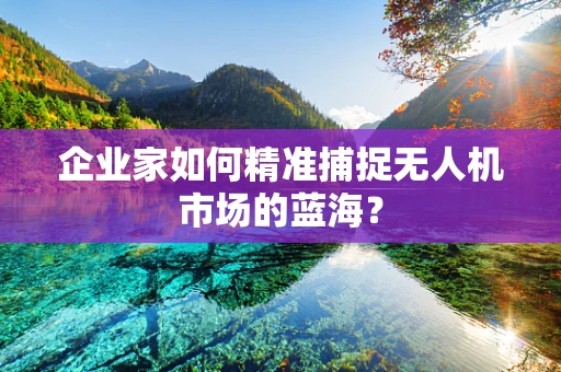 企业家如何精准捕捉无人机市场的蓝海？