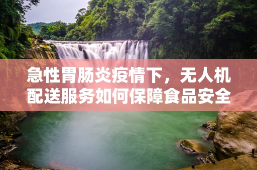 急性胃肠炎疫情下，无人机配送服务如何保障食品安全与市场增长？