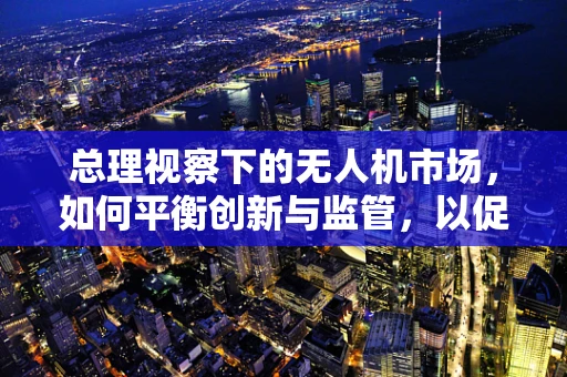 总理视察下的无人机市场，如何平衡创新与监管，以促进健康发展？