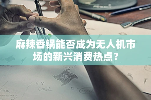 麻辣香锅能否成为无人机市场的新兴消费热点？