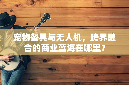 宠物餐具与无人机，跨界融合的商业蓝海在哪里？