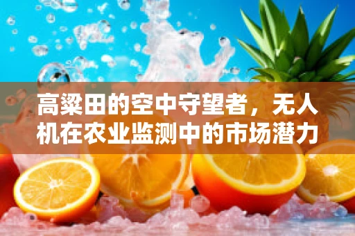 高粱田的空中守望者，无人机在农业监测中的市场潜力与挑战