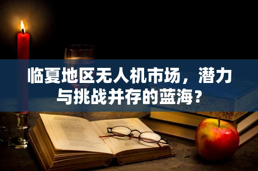 临夏地区无人机市场，潜力与挑战并存的蓝海？