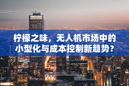 柠檬之味，无人机市场中的小型化与成本控制新趋势？
