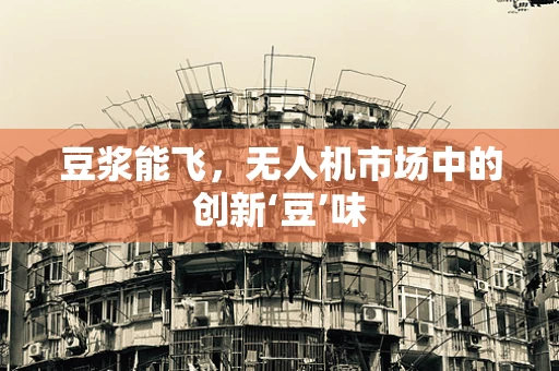 豆浆能飞，无人机市场中的创新‘豆’味