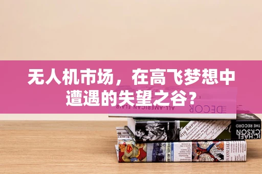 无人机市场，在高飞梦想中遭遇的失望之谷？