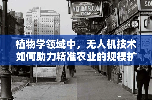 植物学领域中，无人机技术如何助力精准农业的规模扩展？