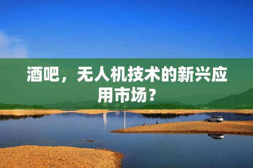 酒吧，无人机技术的新兴应用市场？