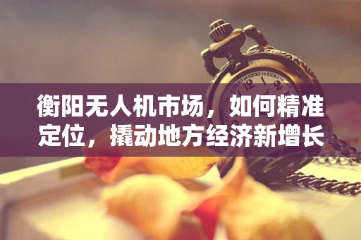 衡阳无人机市场，如何精准定位，撬动地方经济新增长点？