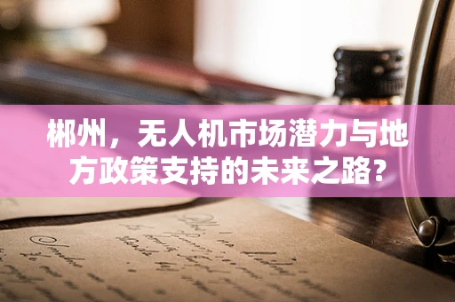 郴州，无人机市场潜力与地方政策支持的未来之路？