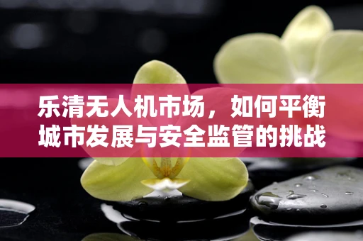 乐清无人机市场，如何平衡城市发展与安全监管的挑战？