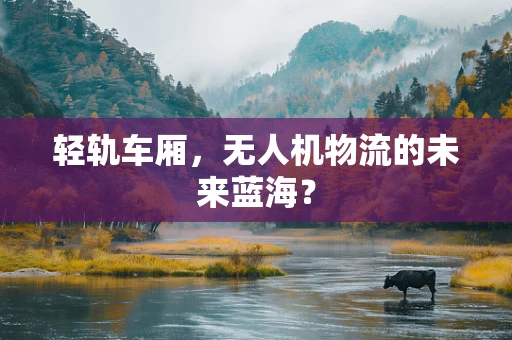 轻轨车厢，无人机物流的未来蓝海？