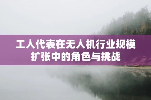 工人代表在无人机行业规模扩张中的角色与挑战