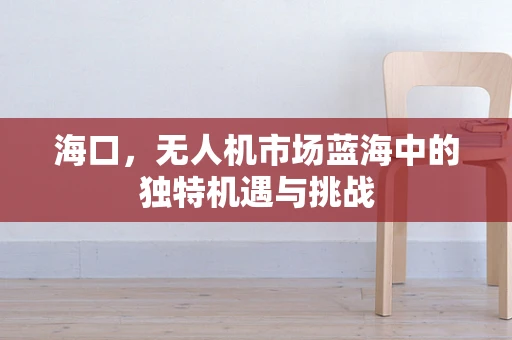 海口，无人机市场蓝海中的独特机遇与挑战