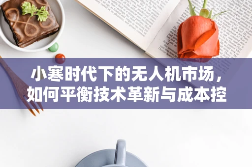 小寒时代下的无人机市场，如何平衡技术革新与成本控制？