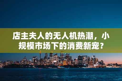 店主夫人的无人机热潮，小规模市场下的消费新宠？