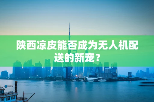 陕西凉皮能否成为无人机配送的新宠？