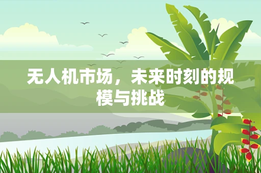 无人机市场，未来时刻的规模与挑战