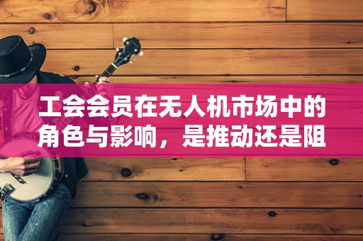 工会会员在无人机市场中的角色与影响，是推动还是阻碍？