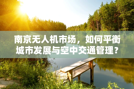 南京无人机市场，如何平衡城市发展与空中交通管理？