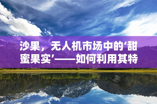 沙果，无人机市场中的‘甜蜜果实’——如何利用其特性拓展应用领域？