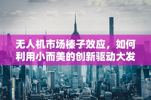无人机市场榛子效应，如何利用小而美的创新驱动大发展？