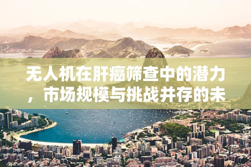 无人机在肝癌筛查中的潜力，市场规模与挑战并存的未来？