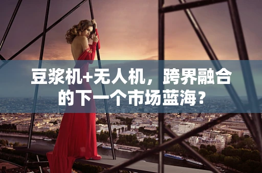 豆浆机+无人机，跨界融合的下一个市场蓝海？