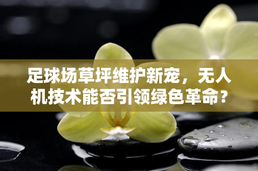 足球场草坪维护新宠，无人机技术能否引领绿色革命？