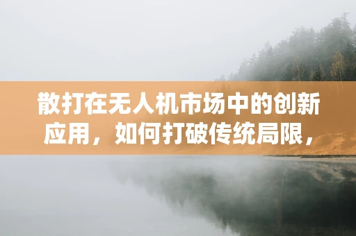 散打在无人机市场中的创新应用，如何打破传统局限，开辟新蓝海？