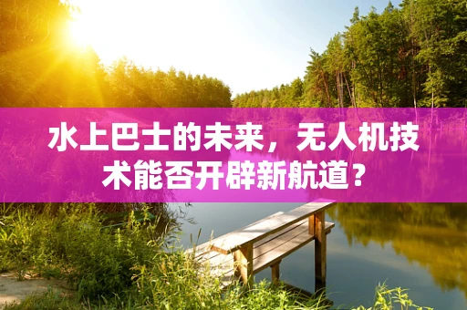 水上巴士的未来，无人机技术能否开辟新航道？