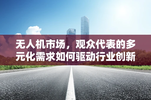无人机市场，观众代表的多元化需求如何驱动行业创新？