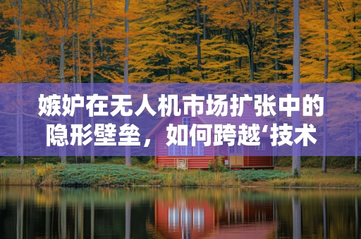 嫉妒在无人机市场扩张中的隐形壁垒，如何跨越‘技术嫉妒’的鸿沟？