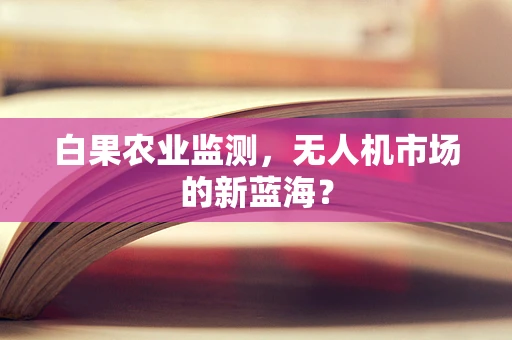白果农业监测，无人机市场的新蓝海？