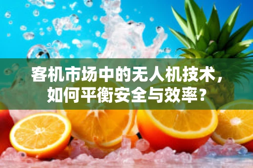 客机市场中的无人机技术，如何平衡安全与效率？