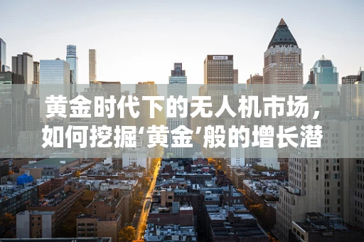 黄金时代下的无人机市场，如何挖掘‘黄金’般的增长潜力？