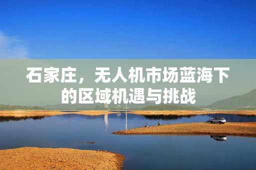 石家庄，无人机市场蓝海下的区域机遇与挑战