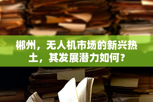 郴州，无人机市场的新兴热土，其发展潜力如何？