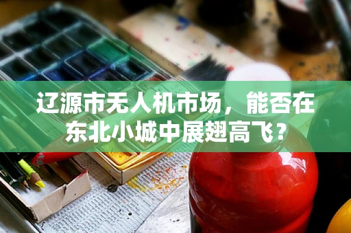 辽源市无人机市场，能否在东北小城中展翅高飞？